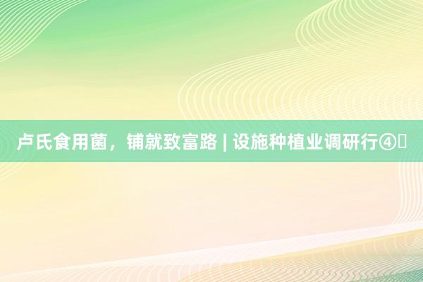 卢氏食用菌，铺就致富路 | 设施种植业调研行④‌