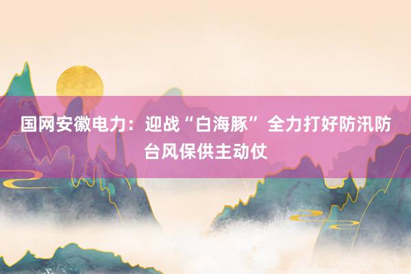 国网安徽电力：迎战“白海豚” 全力打好防汛防台风保供主动仗