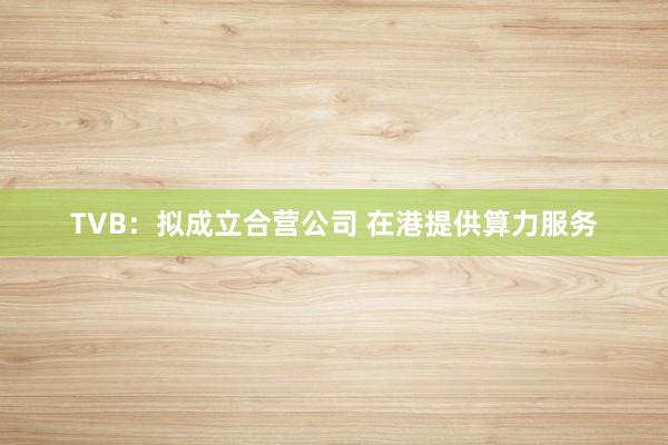TVB：拟成立合营公司 在港提供算力服务