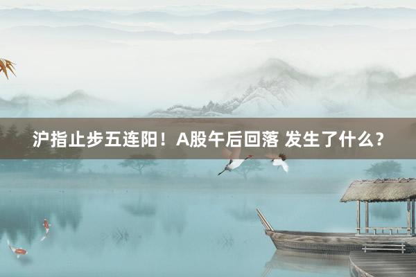 沪指止步五连阳！A股午后回落 发生了什么？