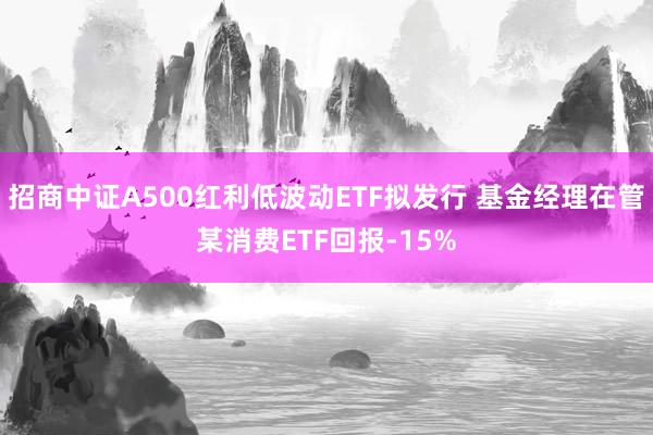 招商中证A500红利低波动ETF拟发行 基金经理在管某消费ETF回报-15%