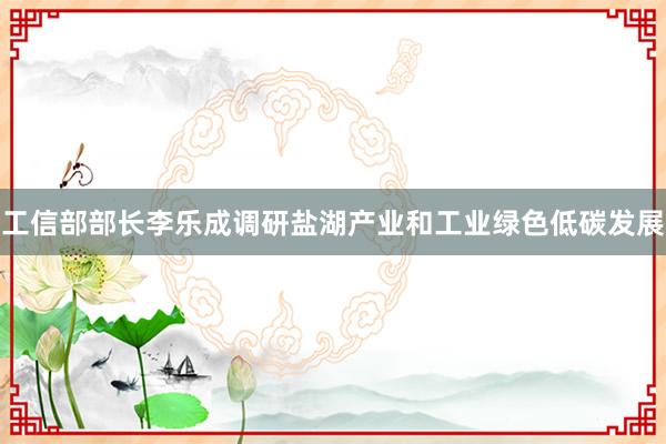 工信部部长李乐成调研盐湖产业和工业绿色低碳发展