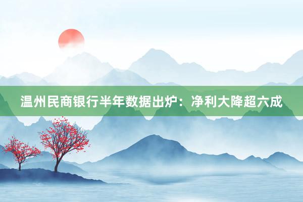 温州民商银行半年数据出炉：净利大降超六成