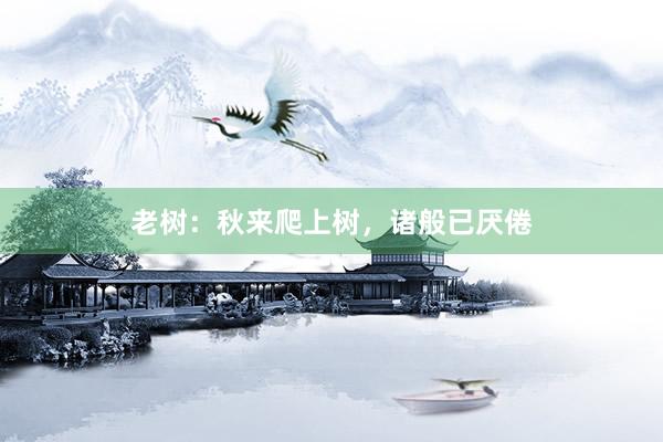 老树：秋来爬上树，诸般已厌倦