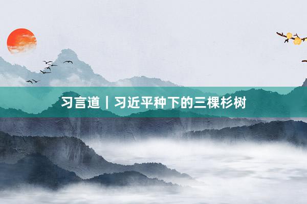 习言道｜习近平种下的三棵杉树