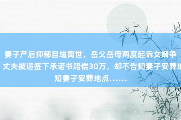 妻子产后抑郁自缢离世，岳父岳母两度起诉女婿争夺财产！丈夫被逼签下承诺书赔偿30万，却不告知妻子安葬地点……