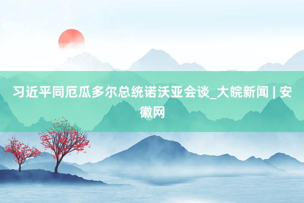 习近平同厄瓜多尔总统诺沃亚会谈_大皖新闻 | 安徽网