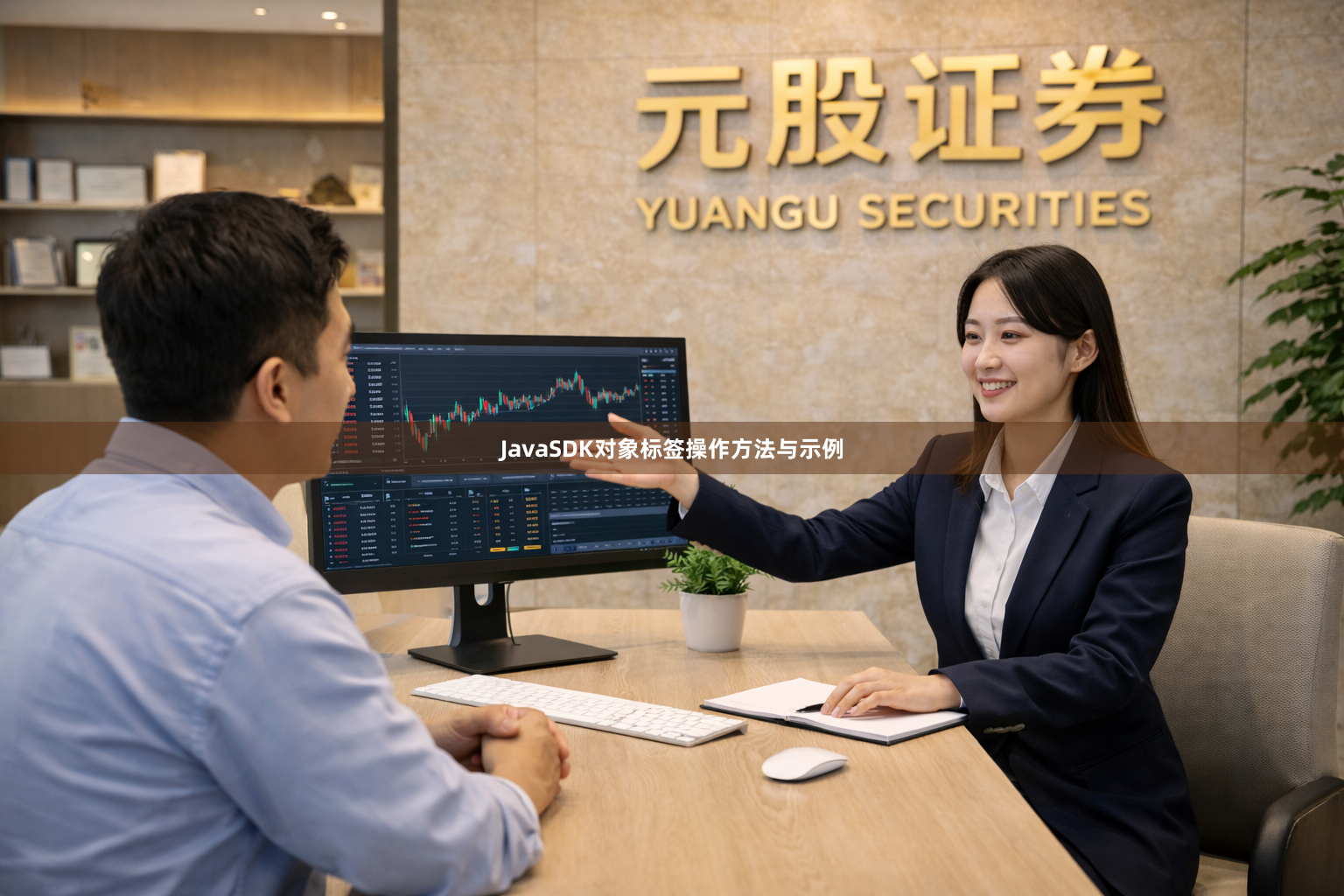 JavaSDK对象标签操作方法与示例