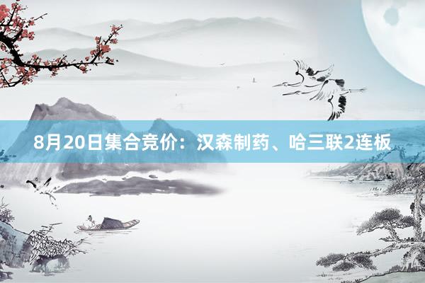 8月20日集合竞价：汉森制药、哈三联2连板