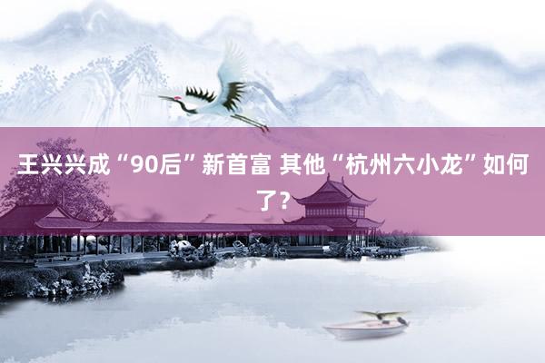 王兴兴成“90后”新首富 其他“杭州六小龙”如何了？