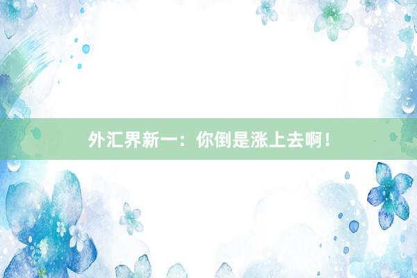 外汇界新一：你倒是涨上去啊！