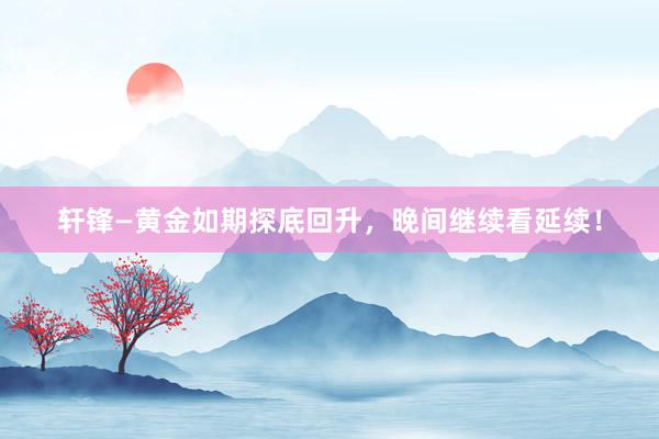 轩锋—黄金如期探底回升，晚间继续看延续！