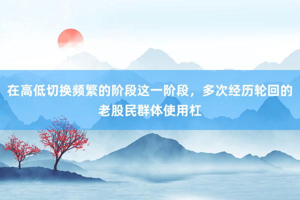 在高低切换频繁的阶段这一阶段，多次经历轮回的老股民群体使用杠