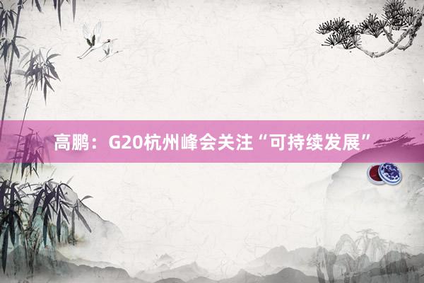 高鹏：G20杭州峰会关注“可持续发展”