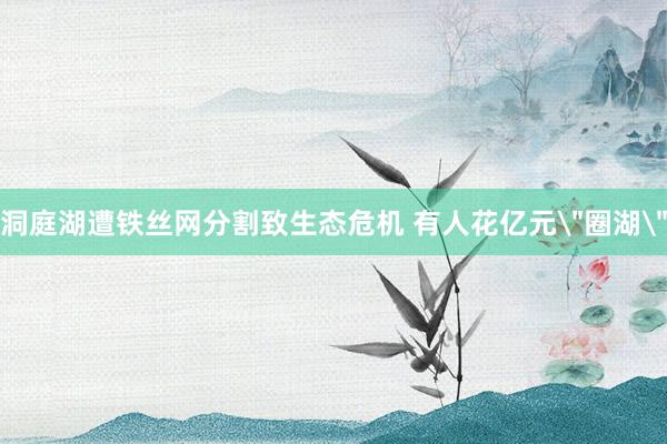 洞庭湖遭铁丝网分割致生态危机 有人花亿元＂圈湖＂