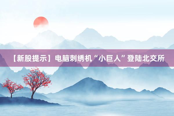 【新股提示】电脑刺绣机“小巨人”登陆北交所