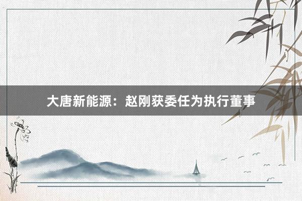 大唐新能源：赵刚获委任为执行董事