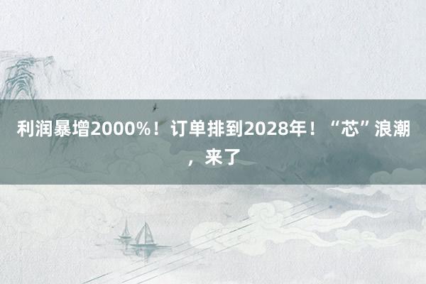 利润暴增2000%！订单排到2028年！“芯”浪潮，来了