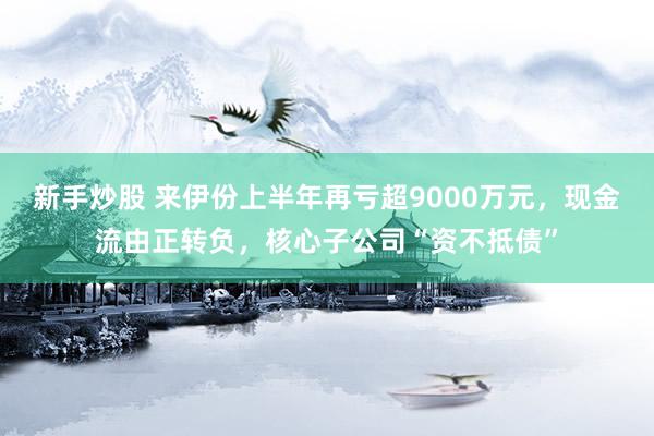 新手炒股 来伊份上半年再亏超9000万元，现金流由正转负，核心子公司“资不抵债”