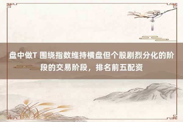 盘中做T 围绕指数维持横盘但个股剧烈分化的阶段的交易阶段，排名前五配资