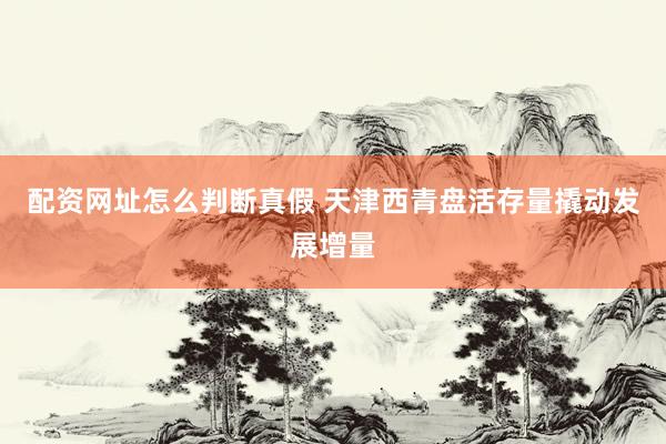 配资网址怎么判断真假 天津西青盘活存量撬动发展增量