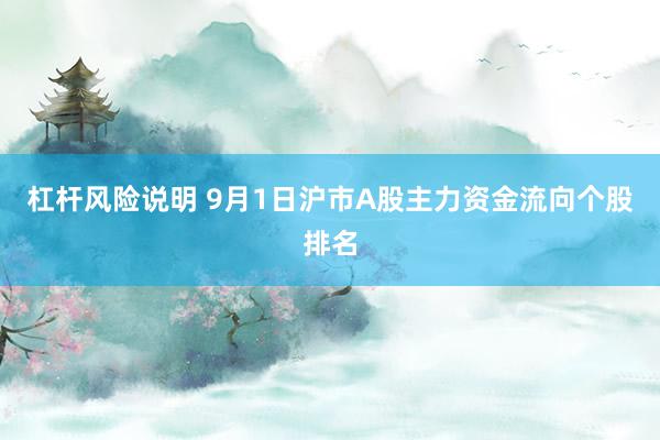 杠杆风险说明 9月1日沪市A股主力资金流向个股排名