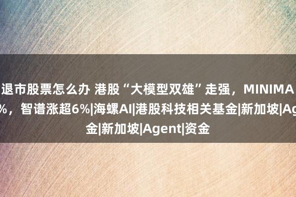 退市股票怎么办 港股“大模型双雄”走强，MINIMAX涨超13%，智谱涨超6%|海螺AI|港股科技相关基金|新加坡|Agent|资金