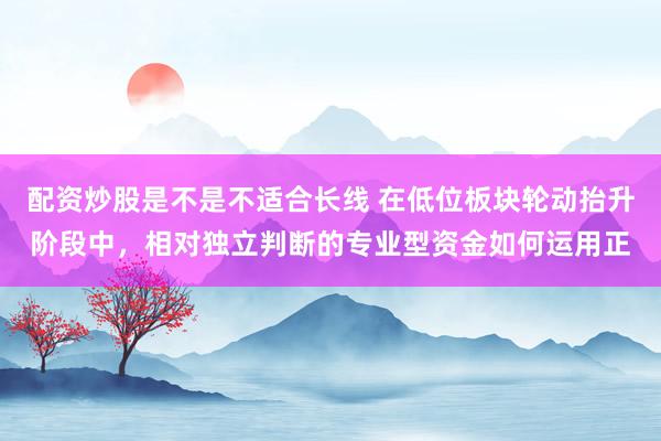 配资炒股是不是不适合长线 在低位板块轮动抬升阶段中，相对独立判断的专业型资金如何运用正