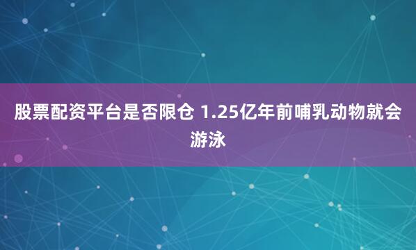 股票配资平台是否限仓 1.25亿年前哺乳动物就会游泳