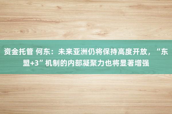 资金托管 何东:未来亚洲仍将保持高度开放,“东盟+3”机制的内部凝聚力也将显著增强